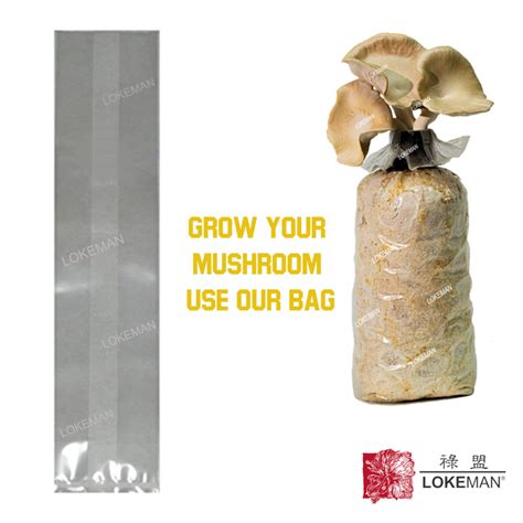 mushroom grow bags without filter